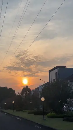 Morning Walk