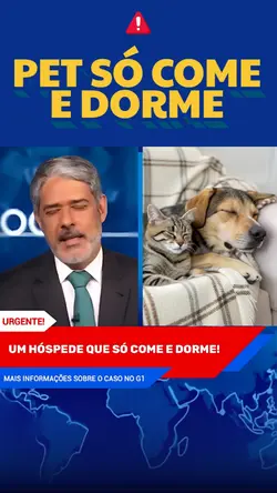 PET SÓ COME E DORME 