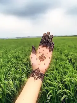 Mehedi