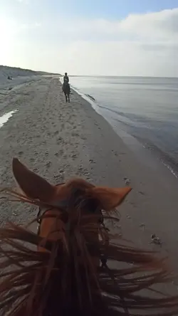 Galloping