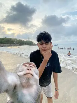 foto bareng monyet