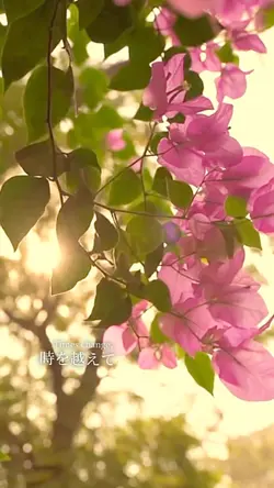 穏やかな休日