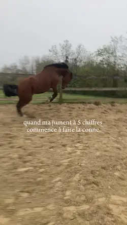 Attention les chaise