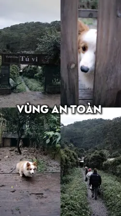 lyrics vùng an toàn 