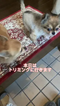 楽しい休日