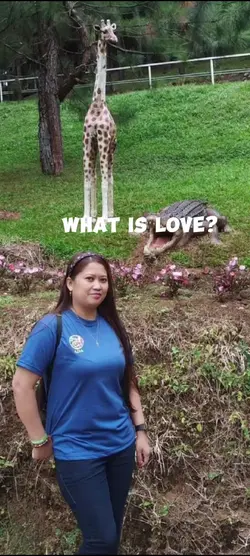 what is love?