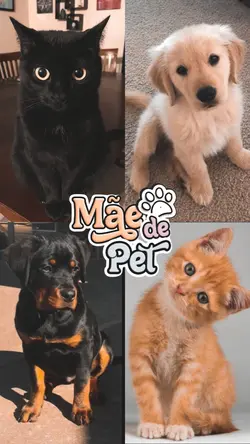 Mãe de pets