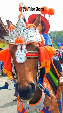 Dadah Kuda 