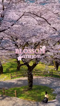 Blossom with sakura