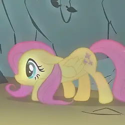 Fluttershy edit