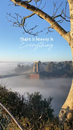 Beauty in everything