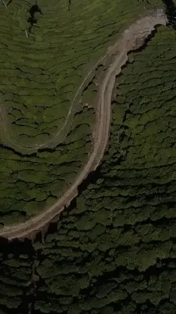 #qoestion