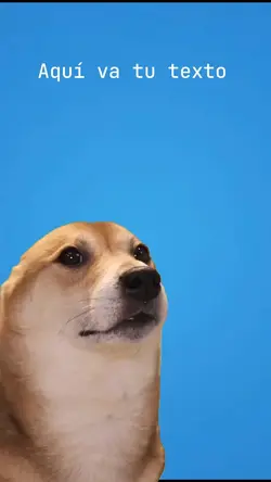Perrito bailando