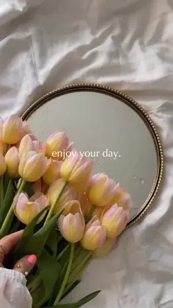 enjoy your day.
