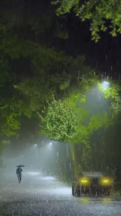 RAINY DAYS VIDEO FYP