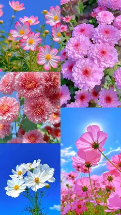 Spring day