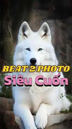 Beat 2 ảnh 