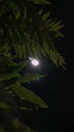 aku yang jatuh cinta