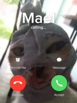 calling meme