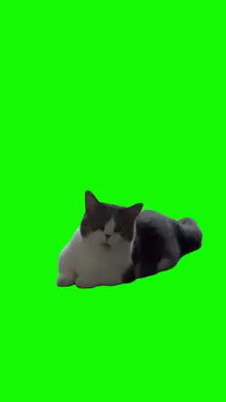 green screen