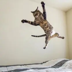 360°