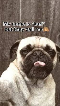 My name is _ but
