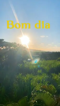 Bom dia