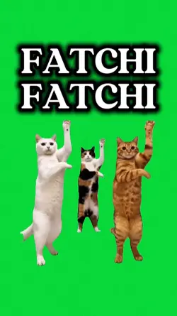 FATCHI
FATCHI