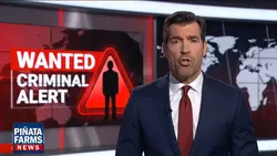Criminal Alert