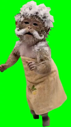 CUTE DANCING MONKEY