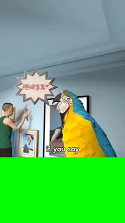 sound parrot