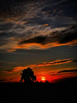Sunset Filter 