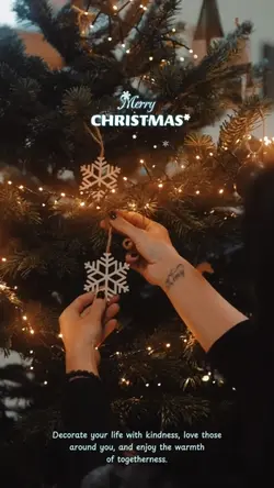 Christmas ✨ 
