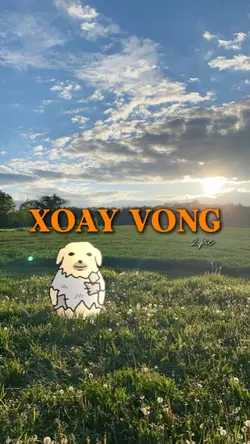 Xoay Vòng