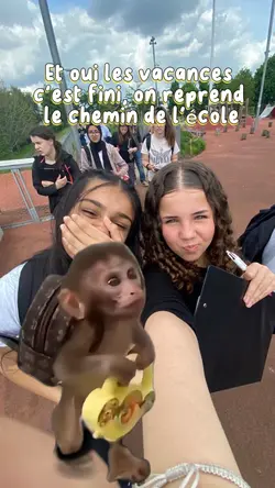 Le chemin de l’école