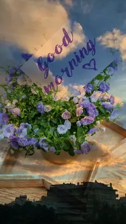 Good morning 
