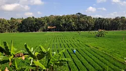 perjalanan