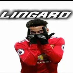 LINGARD edit