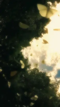 Slowmo dreamy,