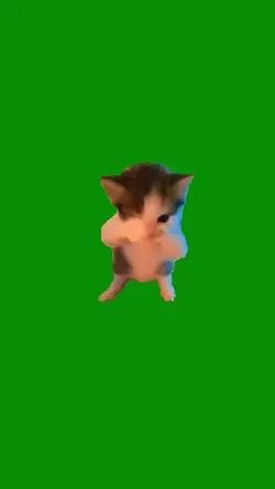 KICAU MANIA