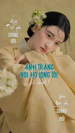 Chữ Thư Pháp 🎋