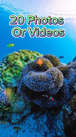 20 Video Slides