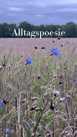 Alltagspoesie