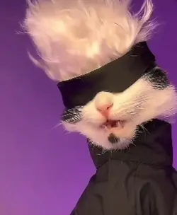 Meow