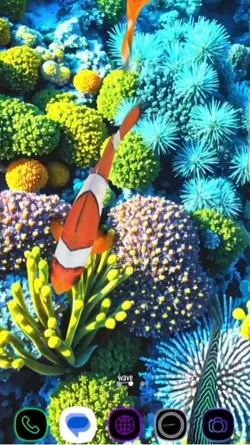 Aquarium