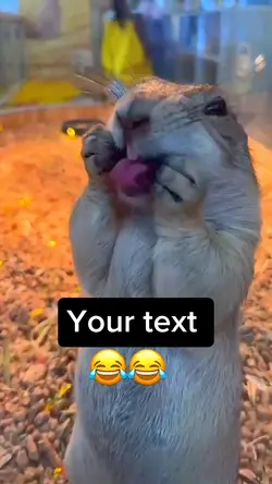 Funny meme template