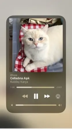 Celladına aşık