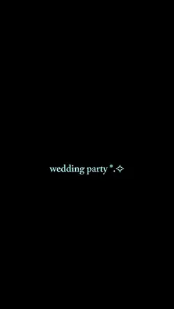 wedding party 