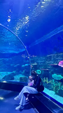 A day in Aquarium🫧