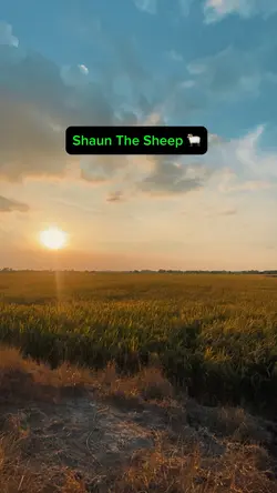 Shaun The Sheep 🐏